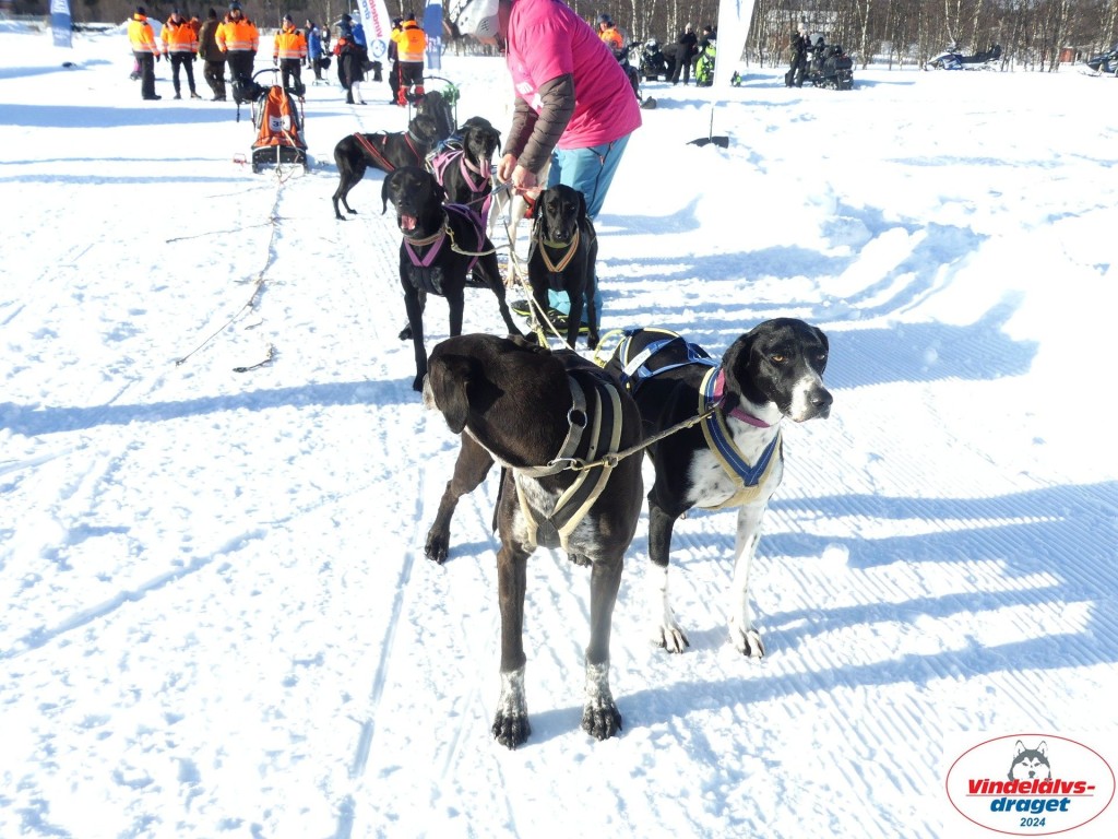 P1080780_resultat.jpg