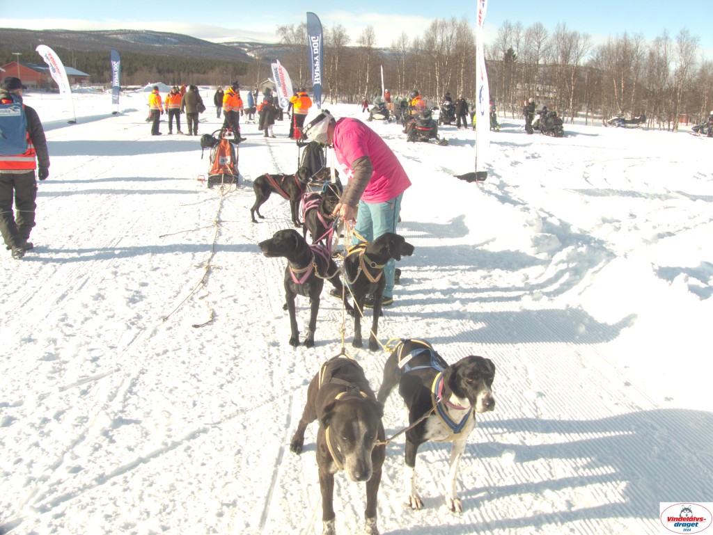 P1080782_resultat.jpg