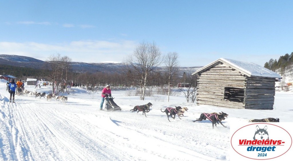 P1080788_cr_resultat.jpg