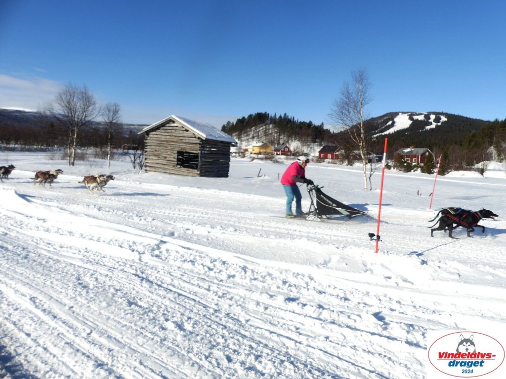P1080789_resultat.jpg