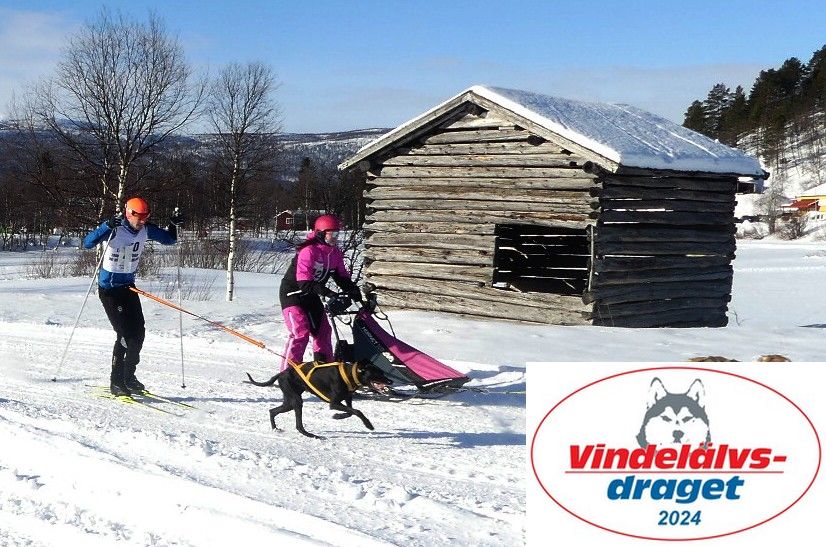 P1080793_cr_resultat.jpg