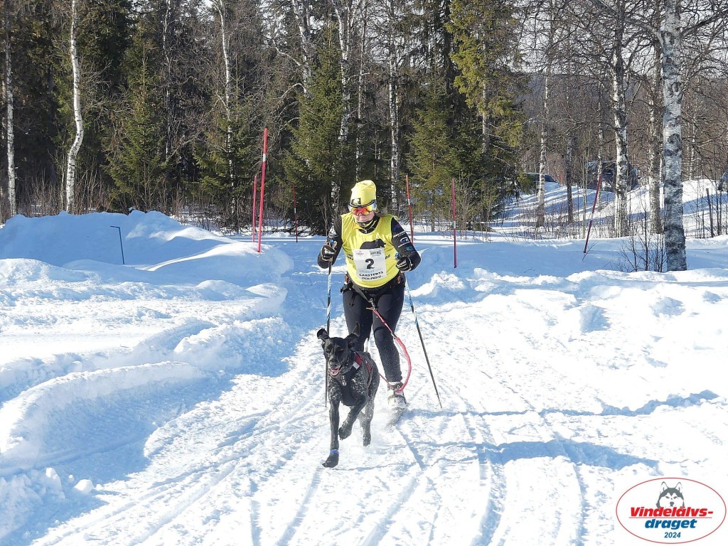 P1080816_resultat.jpg