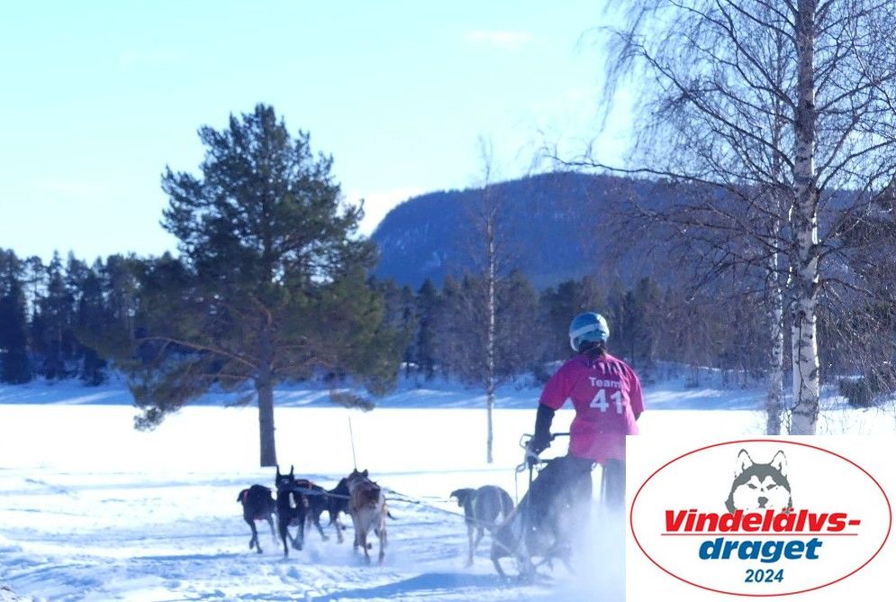 P1080833_cr_resultat.jpg