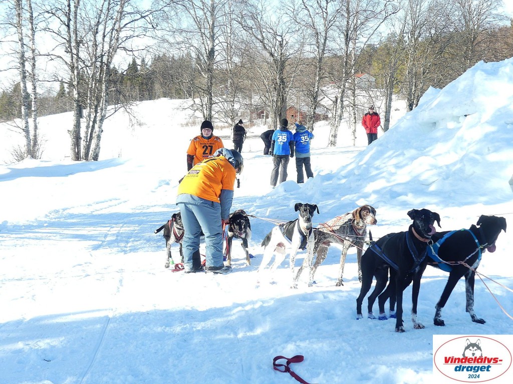 P1080839_resultat.jpg