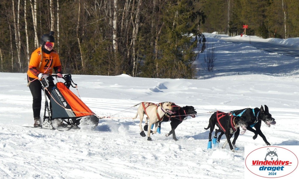 P1080855_cr_resultat.jpg