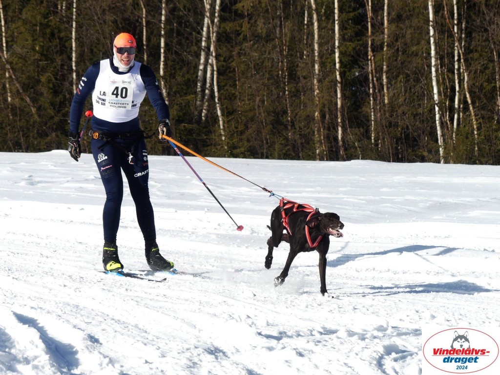 P1080859_resultat.jpg