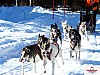 P1080803_resultat.jpg