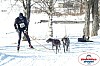 P1080846_cr_resultat.jpg