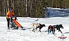 P1080855_cr_resultat.jpg