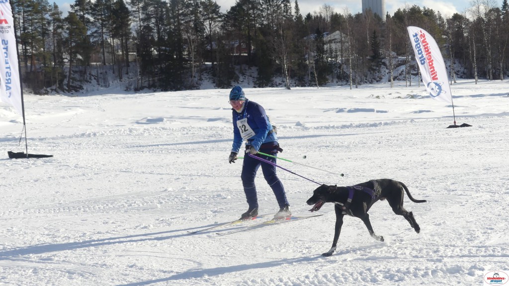 P1090017_resultat.jpg