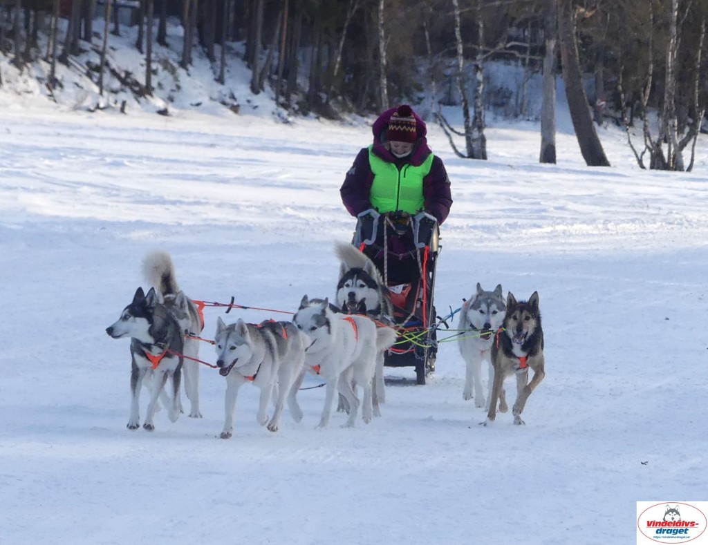 P1090020_cr_resultat.jpg