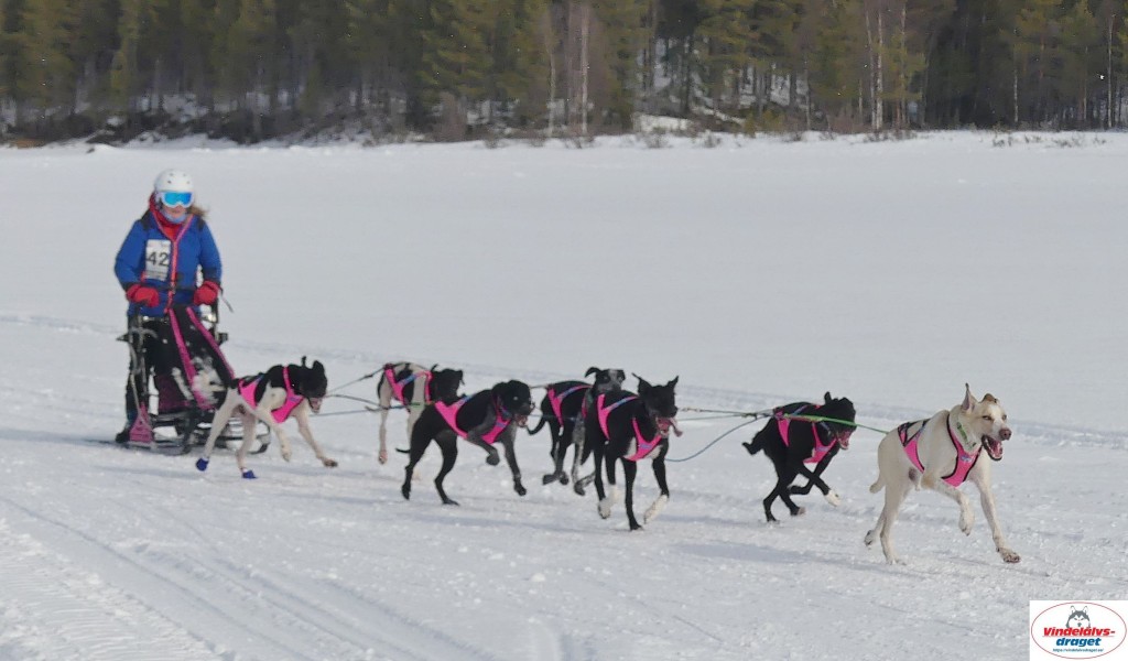 P1090048_cr_resultat.jpg