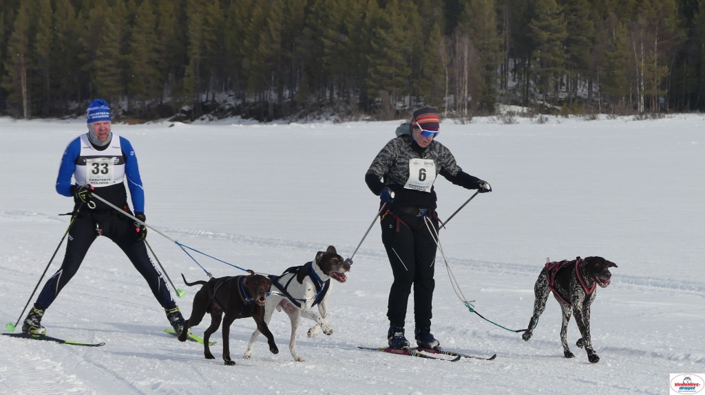 P1090052_resultat.jpg