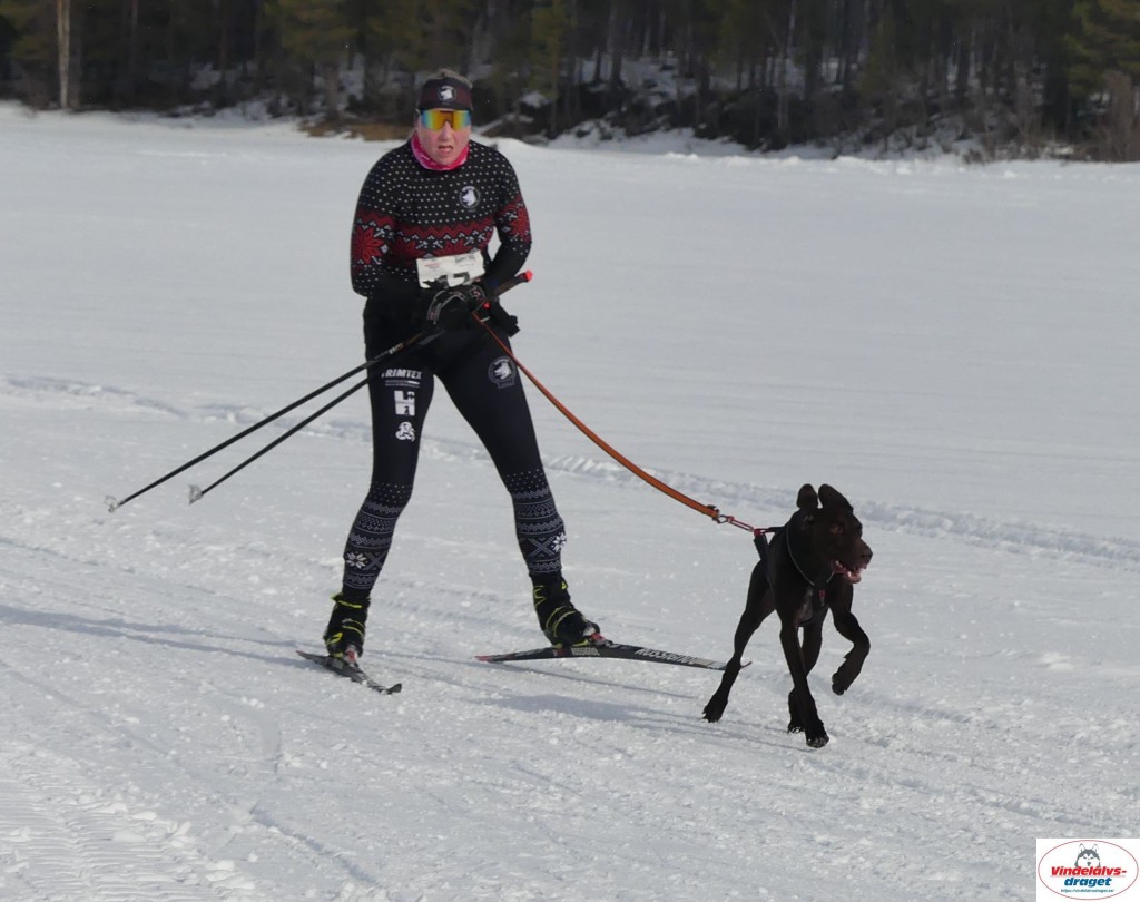 P1090055_cr_resultat.jpg