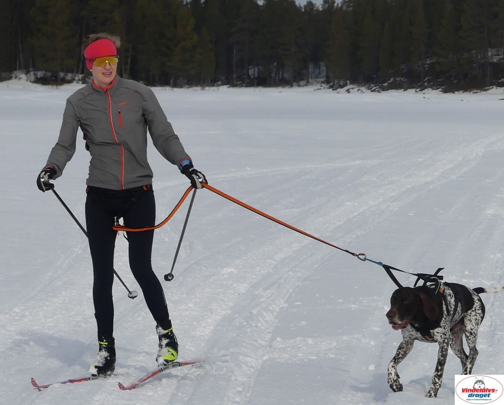 P1090060_cr_resultat.jpg