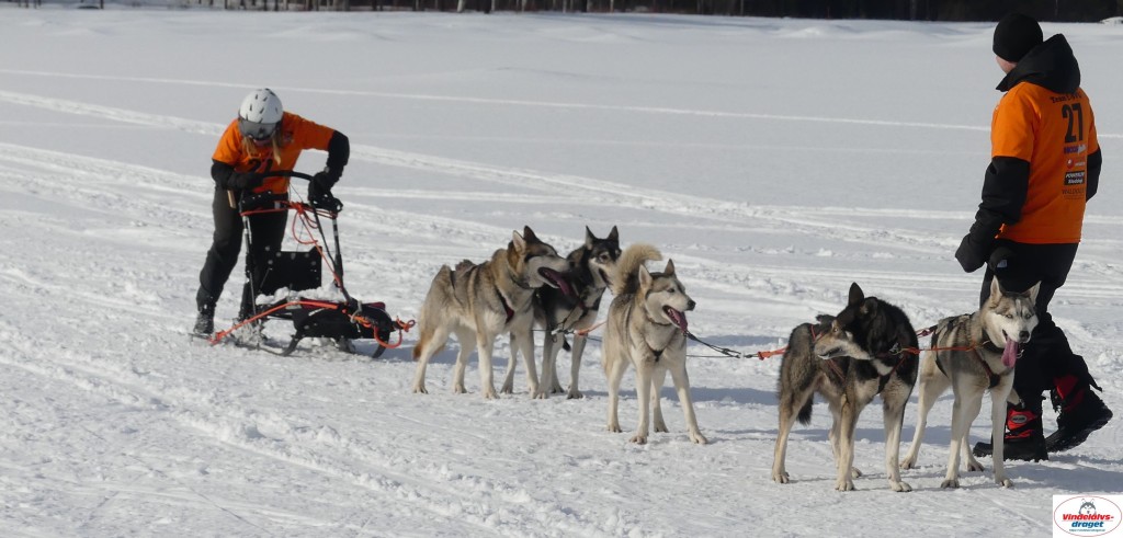 P1090086_cr_resultat.jpg