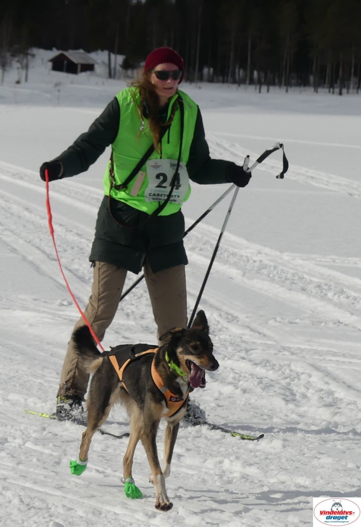 P1090098_cr_resultat.jpg