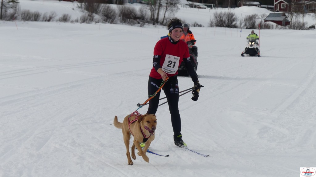 P1090100_resultat.jpg