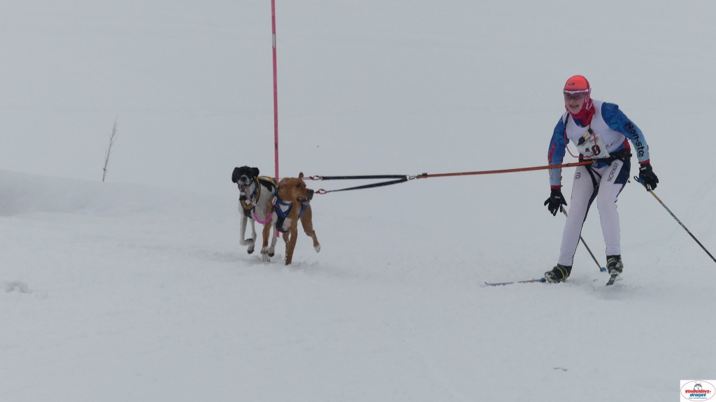 P1090111_resultat.jpg