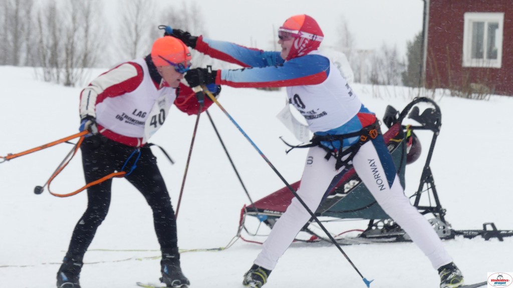 P1090113_resultat.jpg