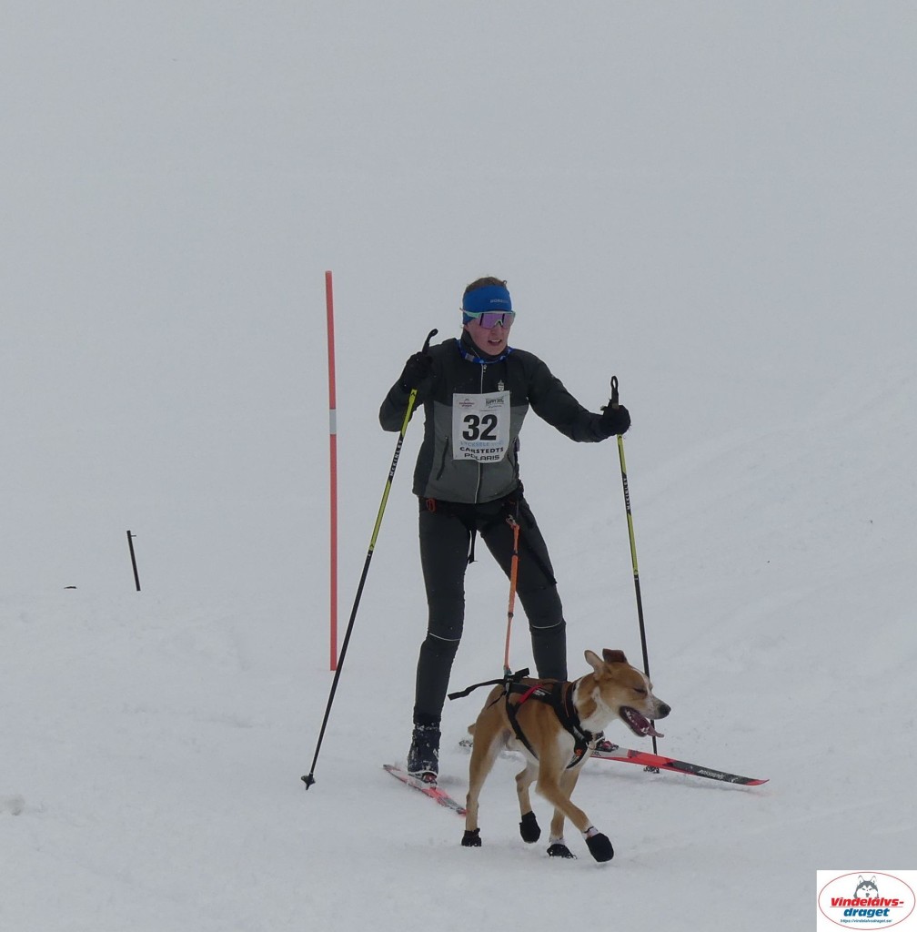 P1090114_cr_resultat.jpg