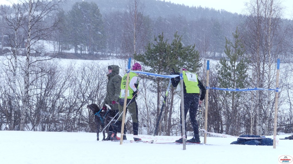 P1090118_resultat.jpg