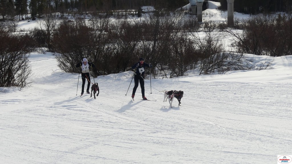P1090139_resultat.jpg