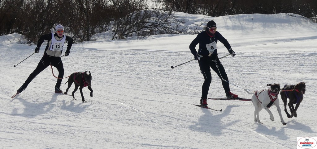 P1090140_cr_resultat.jpg