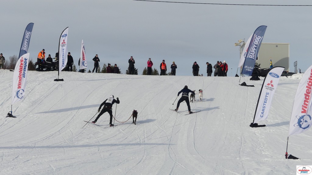 P1090141_resultat.jpg