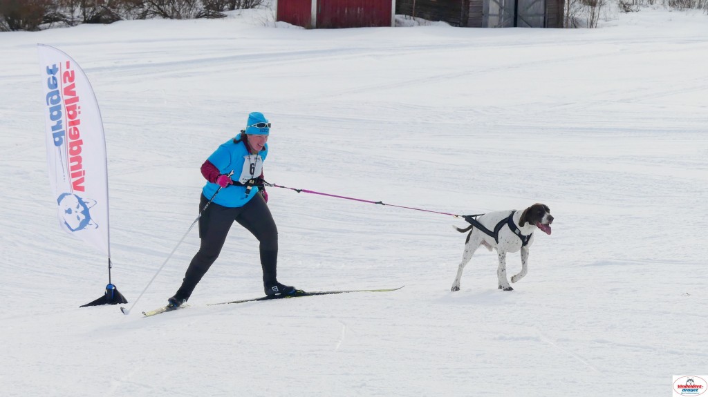 P1090148_resultat.jpg