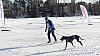 P1090017_resultat.jpg
