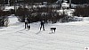 P1090139_resultat.jpg