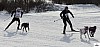 P1090140_cr_resultat.jpg