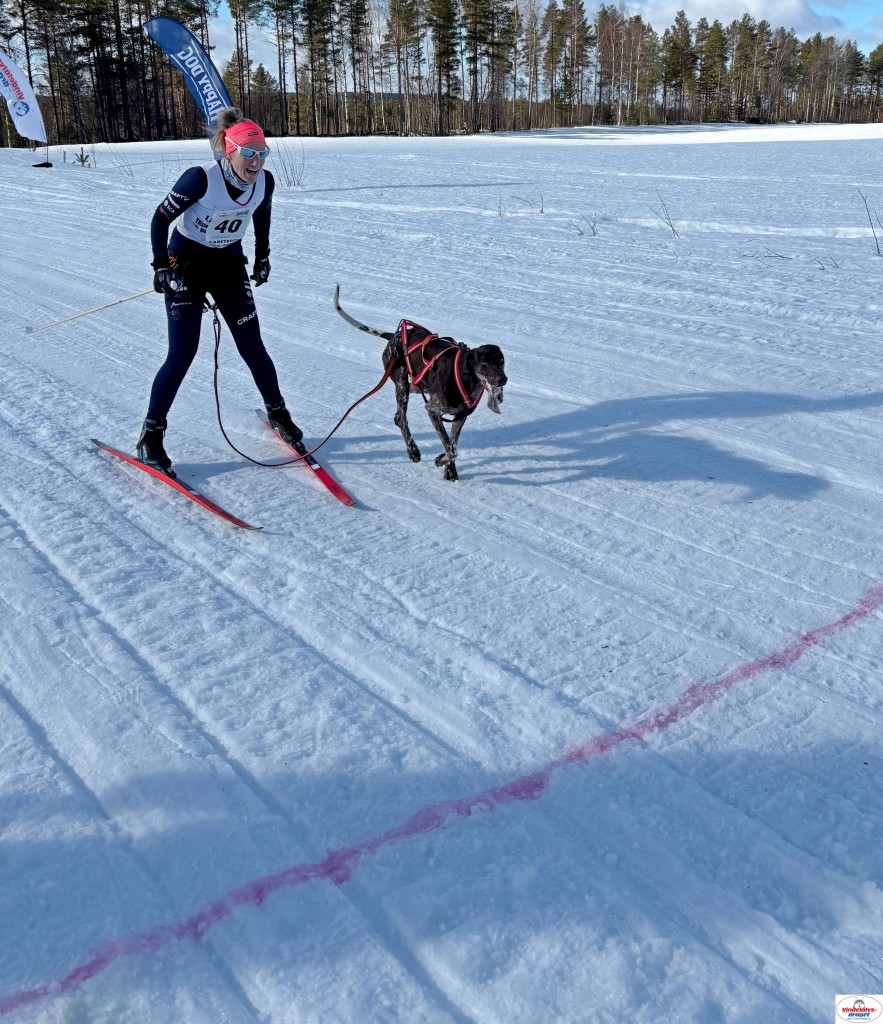 IMG_7081_cr_resultat.jpg