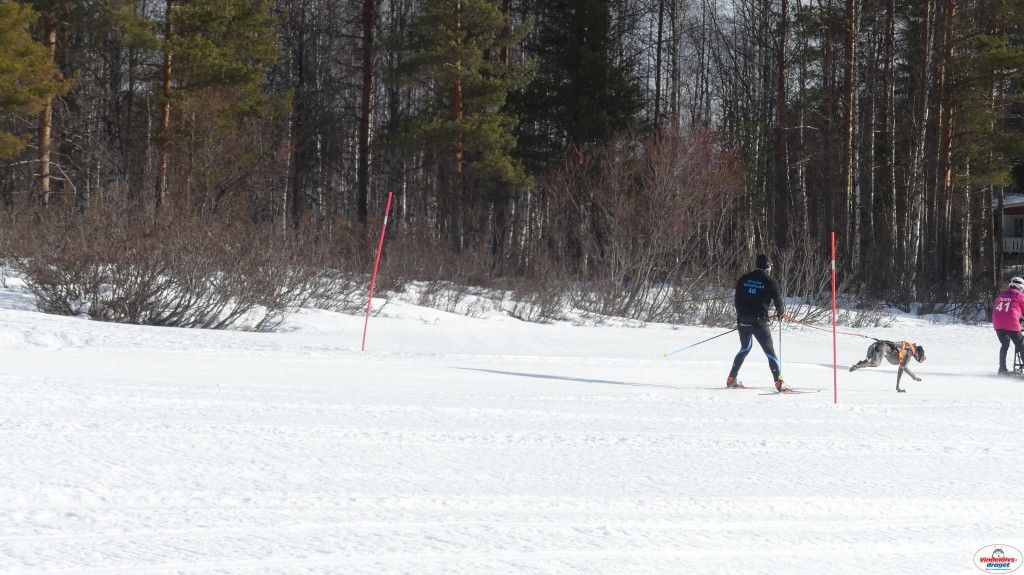 P1090167_resultat.jpg