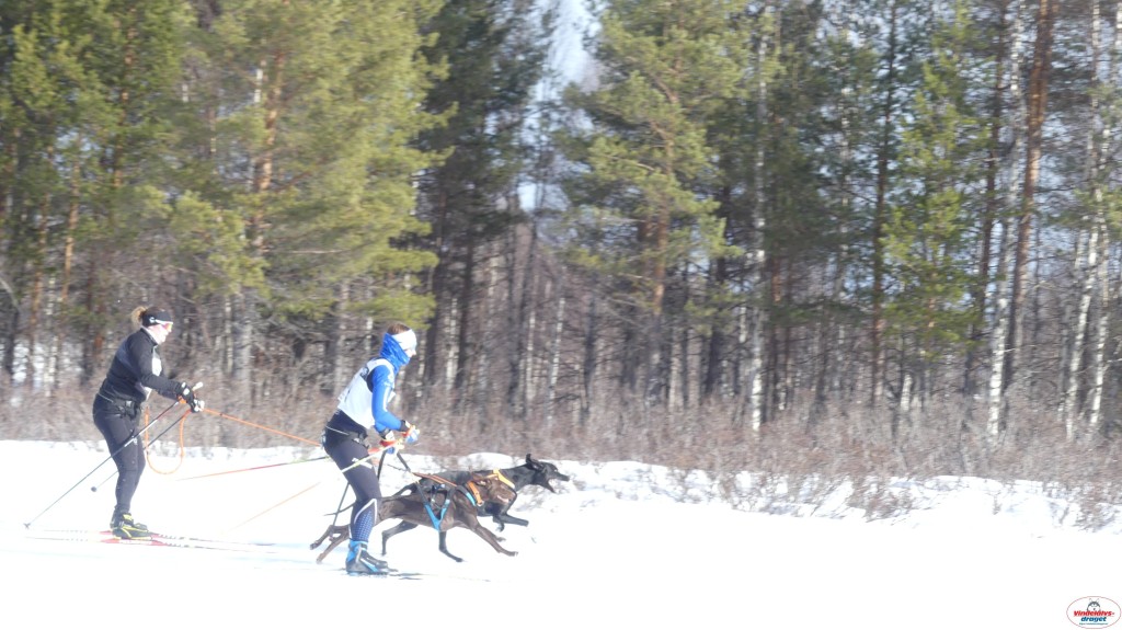 P1090169_resultat.jpg