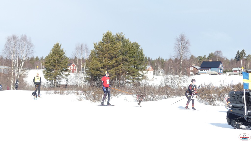 P1090170_resultat.jpg