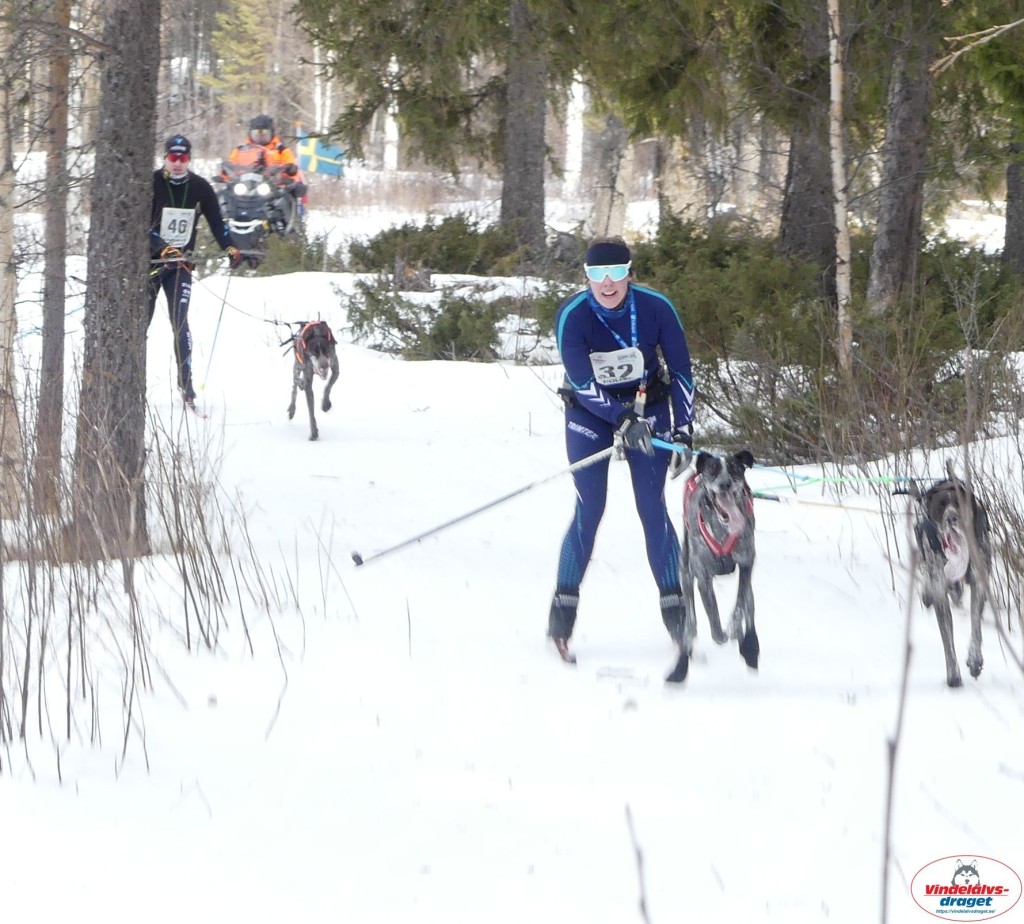 P1090182_cr_resultat.jpg