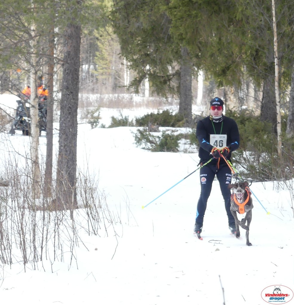 P1090183_cr_resultat.jpg
