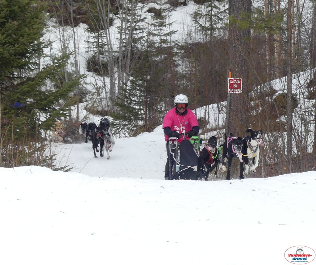 P1090191_cr_resultat.jpg