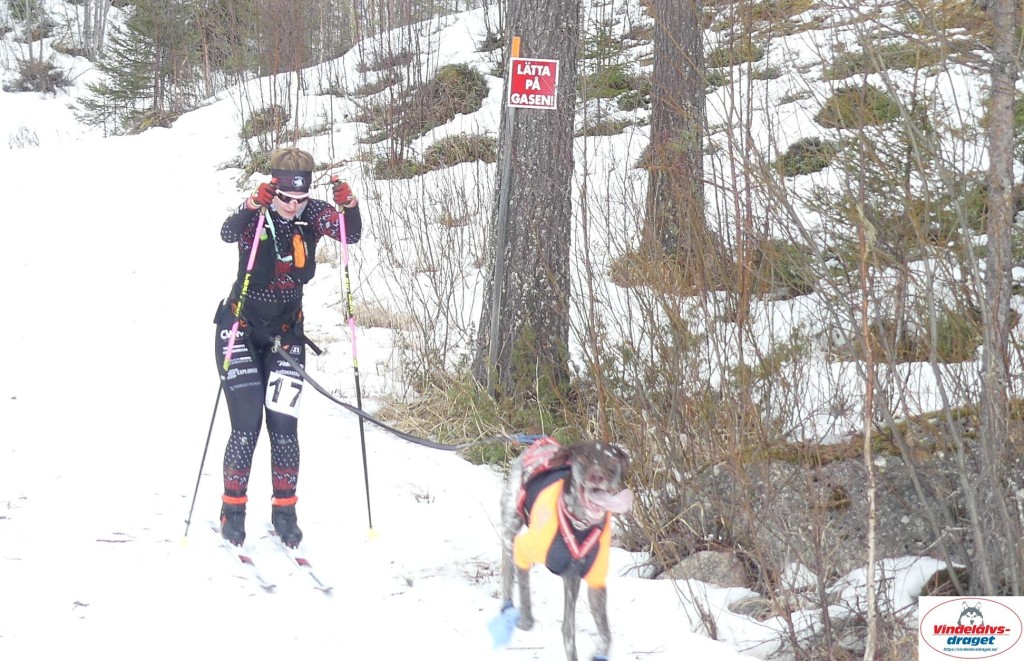P1090199_cr_resultat.jpg