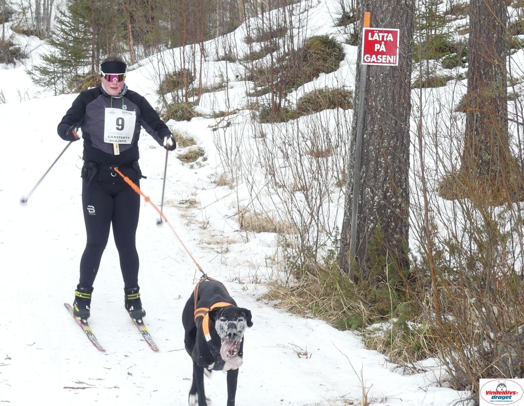 P1090200_cr_resultat.jpg