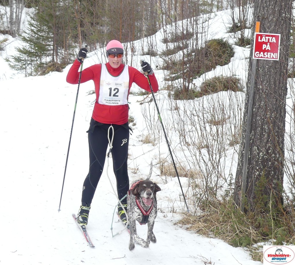 P1090203_cr_resultat.jpg