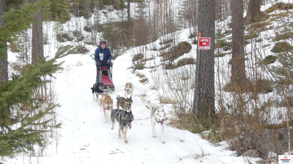 P1090206_resultat.jpg