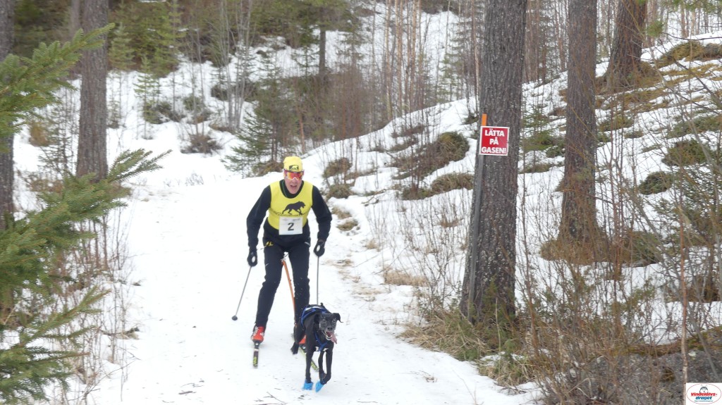 P1090207_resultat.jpg