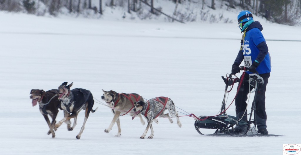 P1090213_cr_resultat.jpg