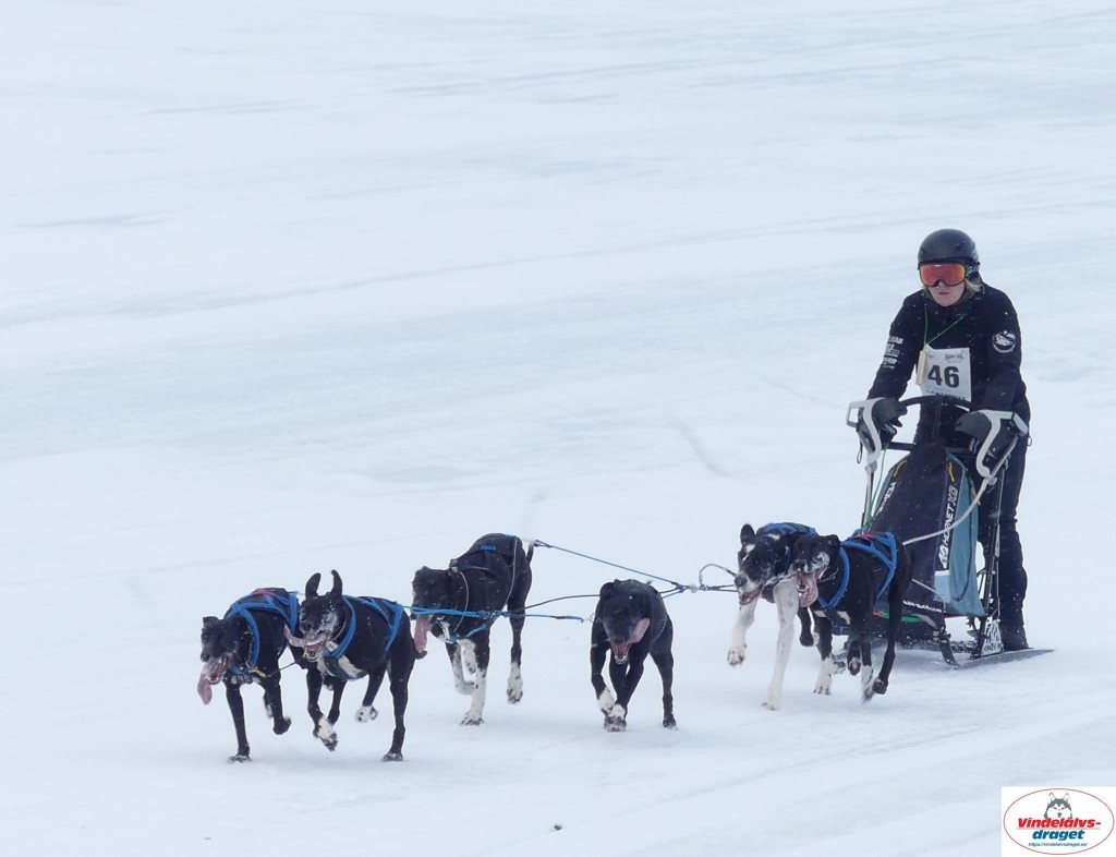 P1090216_cr_resultat.jpg