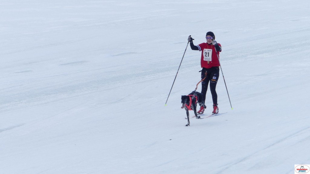 P1090222_resultat.jpg