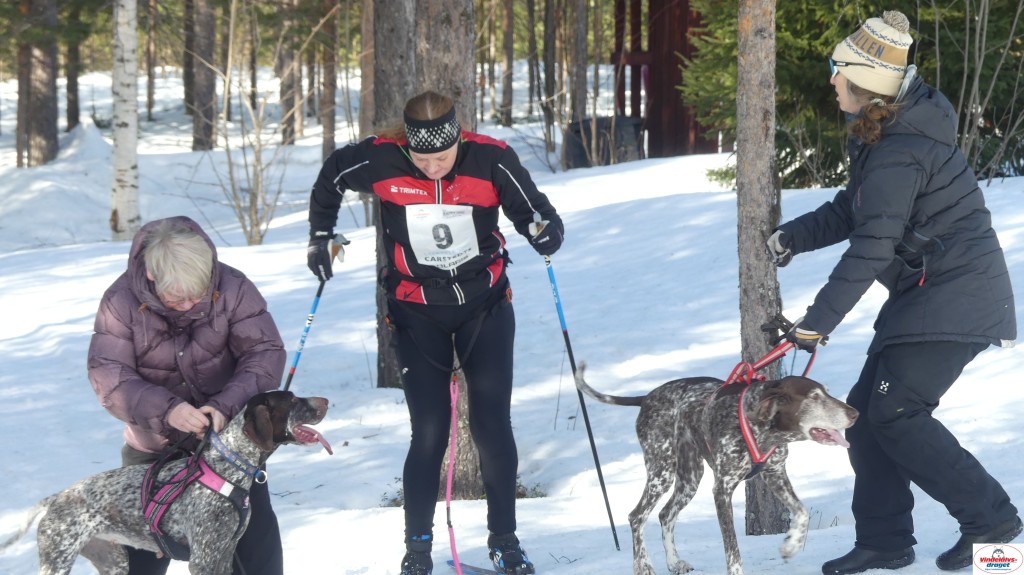 P1090257_resultat.jpg