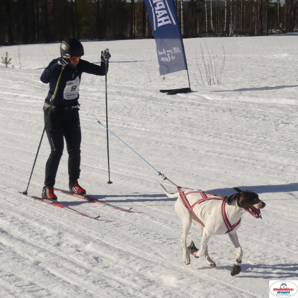 P1090278_resultat.jpg
